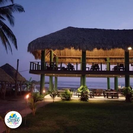 Sambo Mambo Beach Hotel 埃尔库科 外观 照片