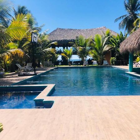 Sambo Mambo Beach Hotel 埃尔库科 外观 照片