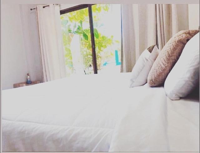 Sambo Mambo Beach Hotel 埃尔库科 外观 照片