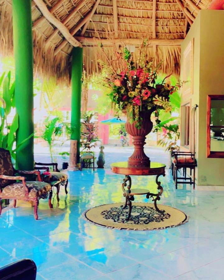 Sambo Mambo Beach Hotel 埃尔库科 外观 照片