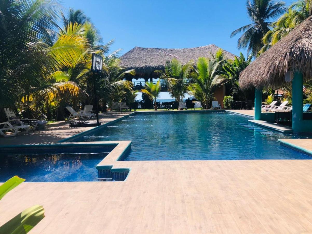 Sambo Mambo Beach Hotel 埃尔库科 外观 照片