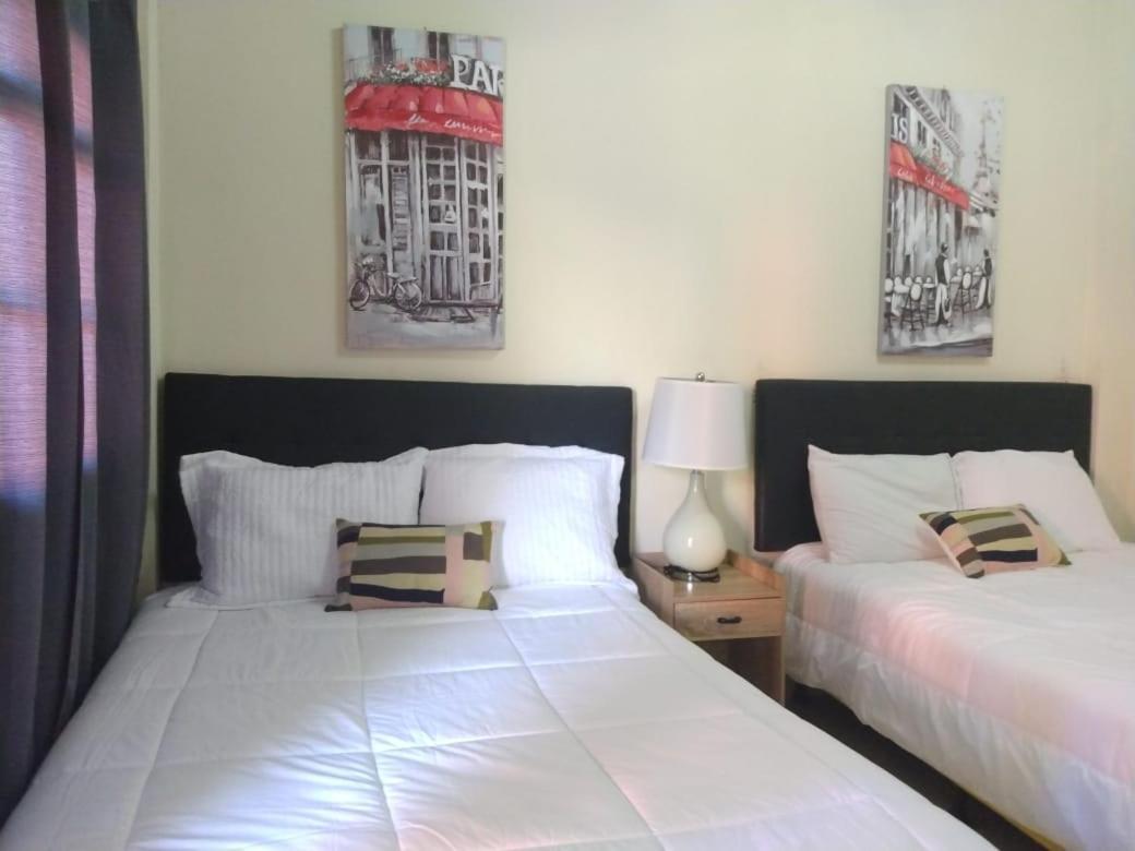 Sambo Mambo Beach Hotel 埃尔库科 外观 照片
