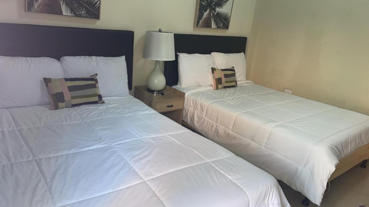 Sambo Mambo Beach Hotel 埃尔库科 外观 照片