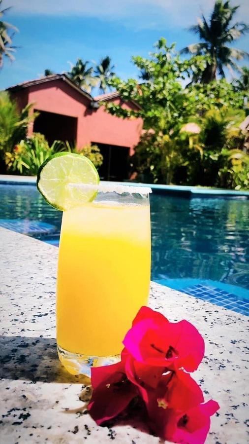 Sambo Mambo Beach Hotel 埃尔库科 外观 照片