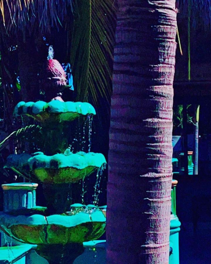 Sambo Mambo Beach Hotel 埃尔库科 外观 照片