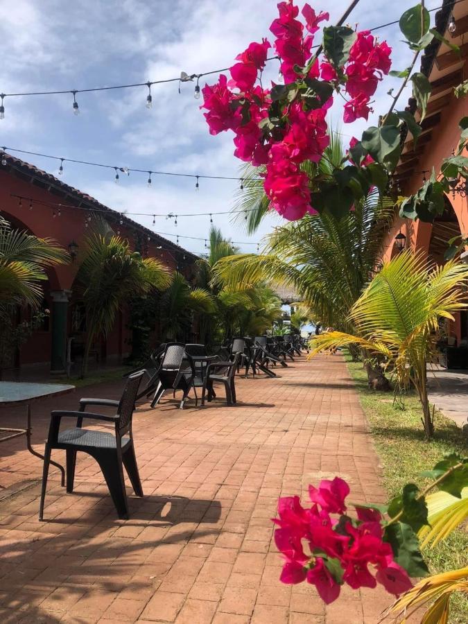 Sambo Mambo Beach Hotel 埃尔库科 外观 照片